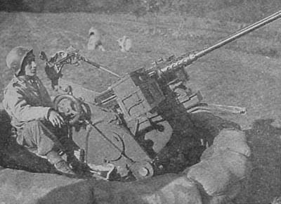 [German flak mount with two captured American 50s]