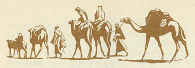[Iraq Camel Caravan]
